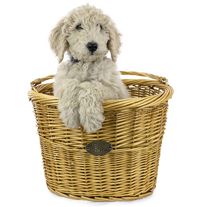 Large Willow Bicycle Basket for Dogs - Hand Crafted By Beach and Dog Co - Handlebar Bracket and Leashes Included (Monterey Large)